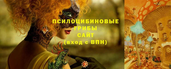метадон Белокуриха