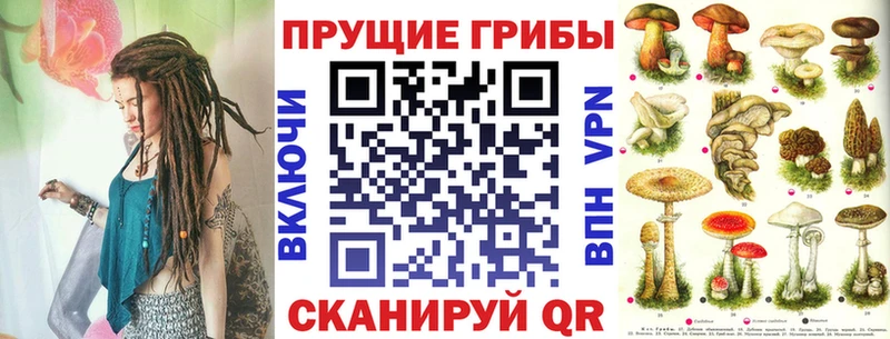 Галлюциногенные грибы мицелий Владивосток