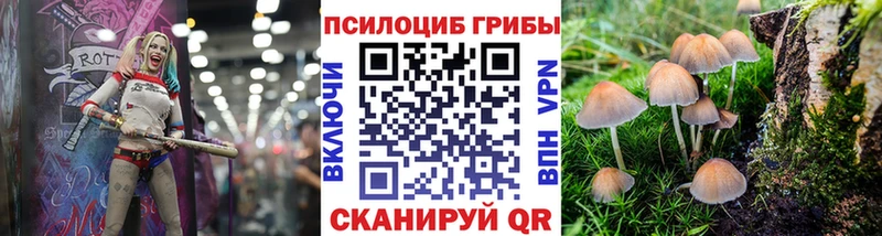 Псилоцибиновые грибы Cubensis  как найти закладки  Владивосток 